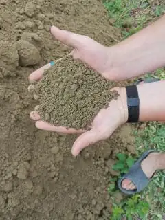 Песок илистый